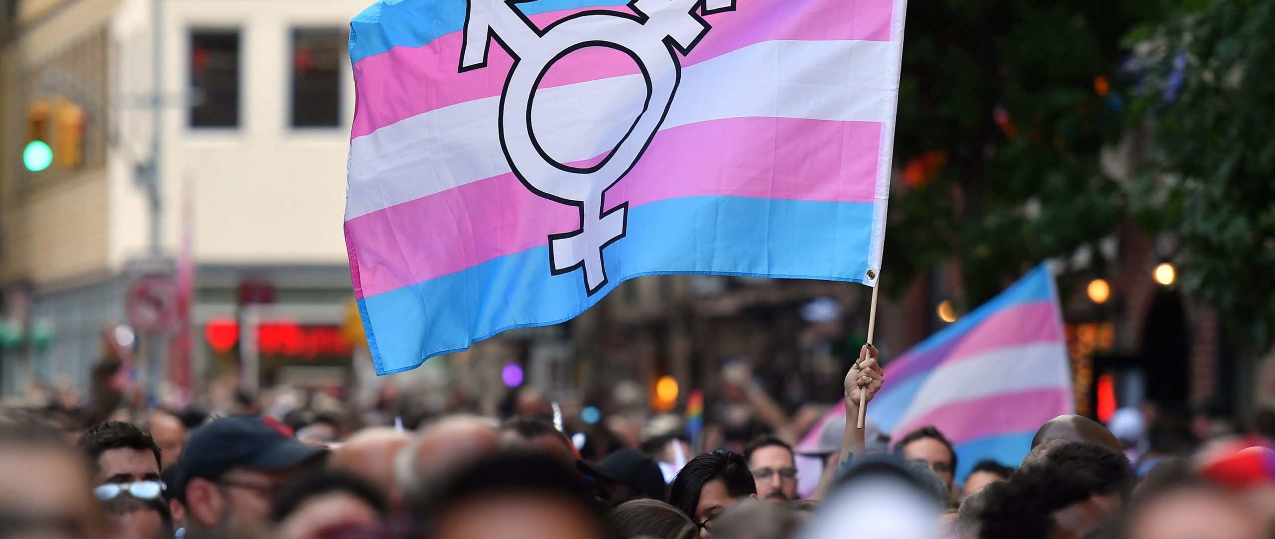 Growing transphobia and authoritarianism go hand in hand – they must be resisted