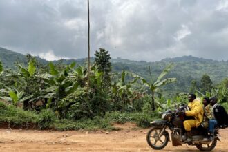 “Tell everyone we are being massacred”: overlooked war crimes in the Democratic Republic of the Congo