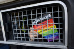 Russia: Authorities seeking to use “extremism” laws as pretext to ban leading LGBTI organizations