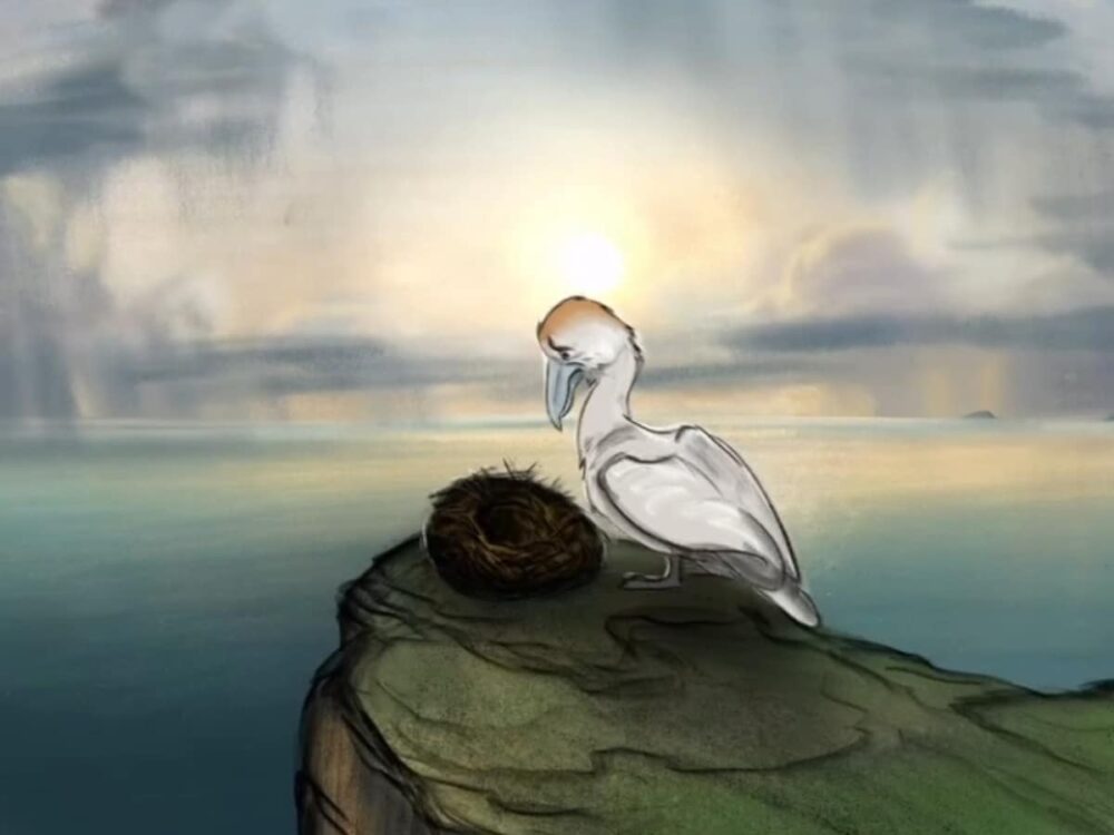 'Succession' star Brian Cox narrates new film exposing controversial gannet hunt - watch here