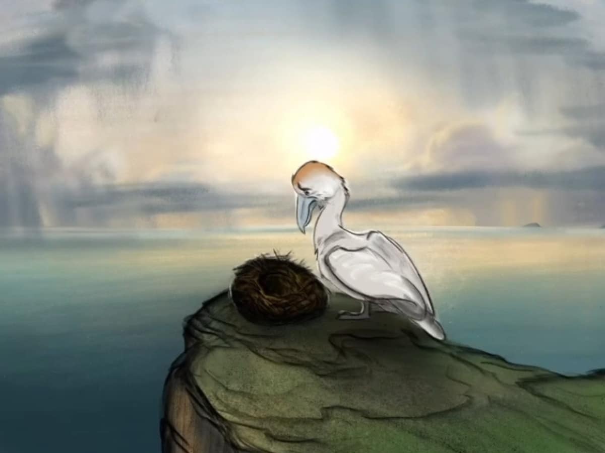 'Succession' star Brian Cox narrates new film exposing controversial gannet hunt - watch here