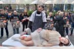 This Easter, Animal Justice Project urge people to 'Skip the Lamb'