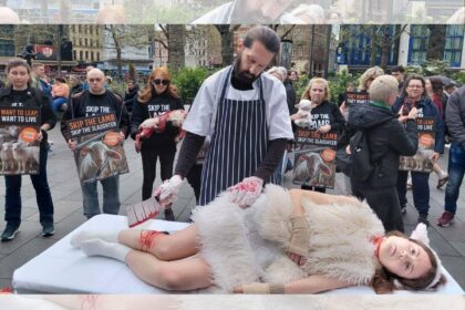 This Easter, Animal Justice Project urge people to 'Skip the Lamb'