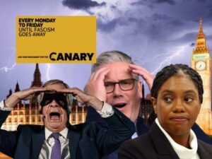 Read more about the article Canary to launch a daily newspaper – and they’re going to hate it