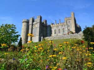 Read more about the article The Duke of Norfolk is set to host a dinner for Reform donors at Arundel Castle