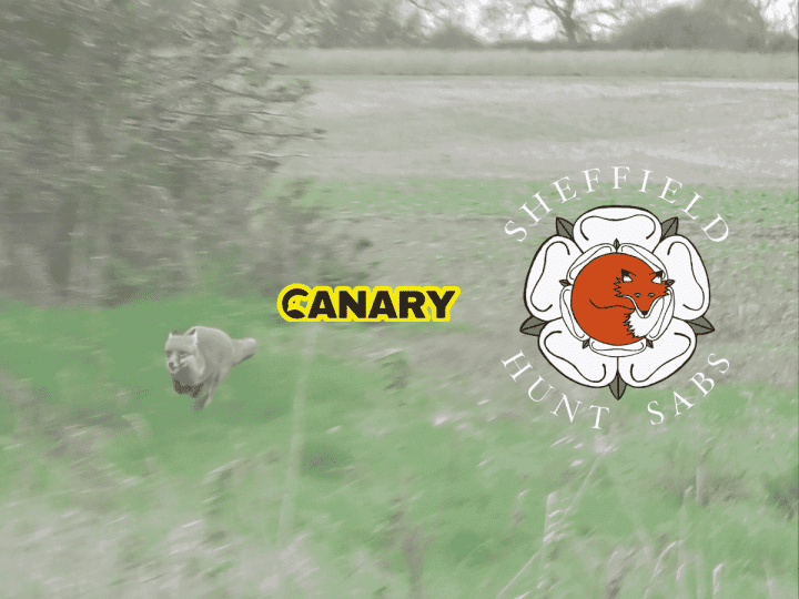 You are currently viewing Two men charged after badger sett compromised near Newark
