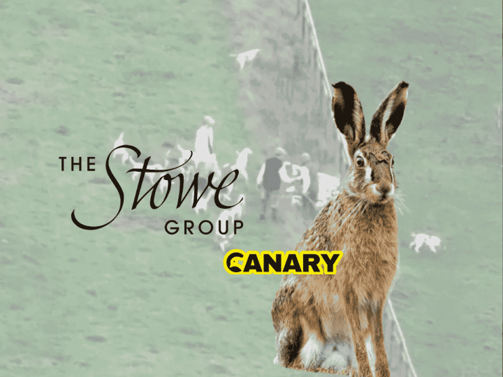 Read more about the article Hunt activities at elite school exposed after illegal hare killing