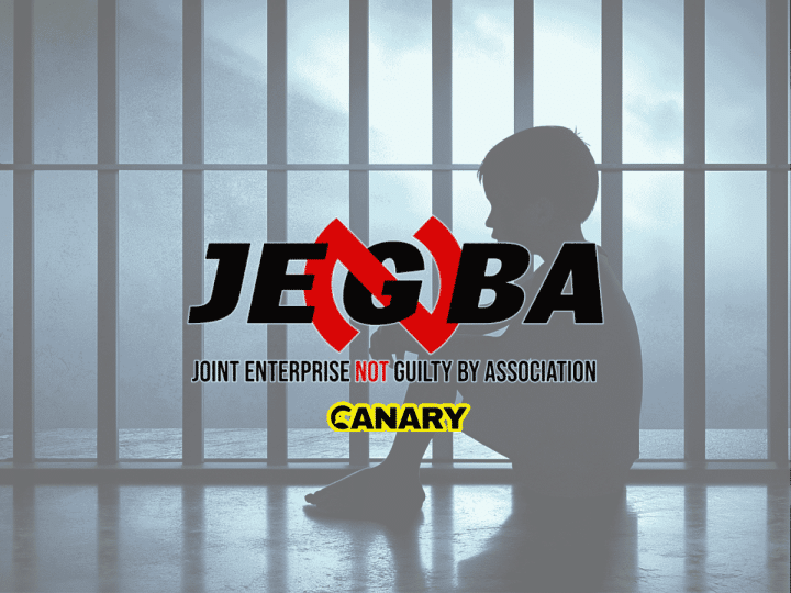 Read more about the article Children behind bars for life — the human cost of ‘British justice’