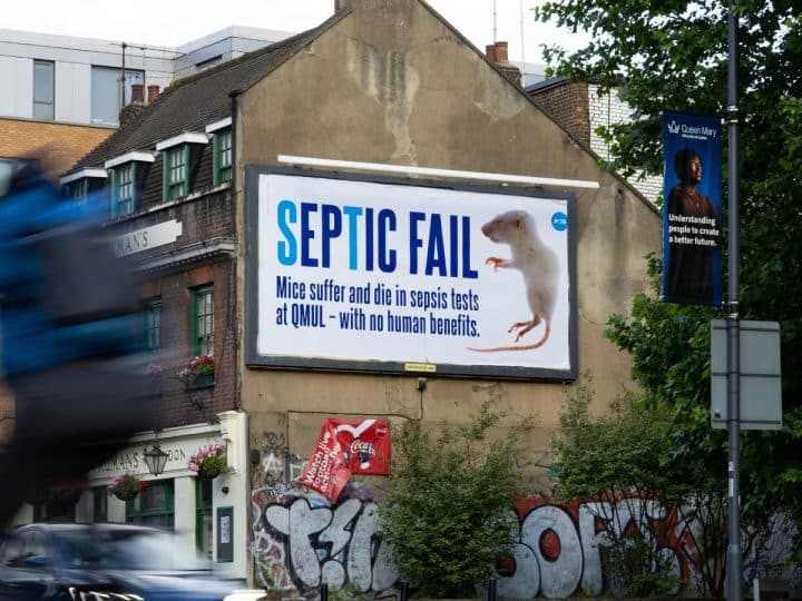 You are currently viewing ‘Dead Mouse’ slams cruel sepsis experiments at QMUL open day