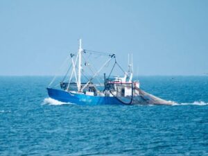 Read more about the article Hidden boat ownership risks fuelling illegal fishing in UK waters