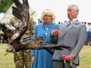 Read more about the article Royal Family to get a 94% surge in taxpayer-funded income whilst ‘it’s subjects’ must expect less