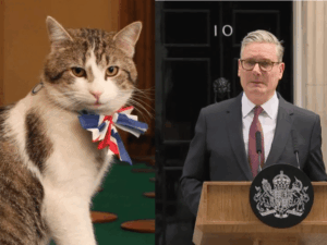 Read more about the article No. 10 cat is the UK’s most stable, sensible figure — charlatans come and go