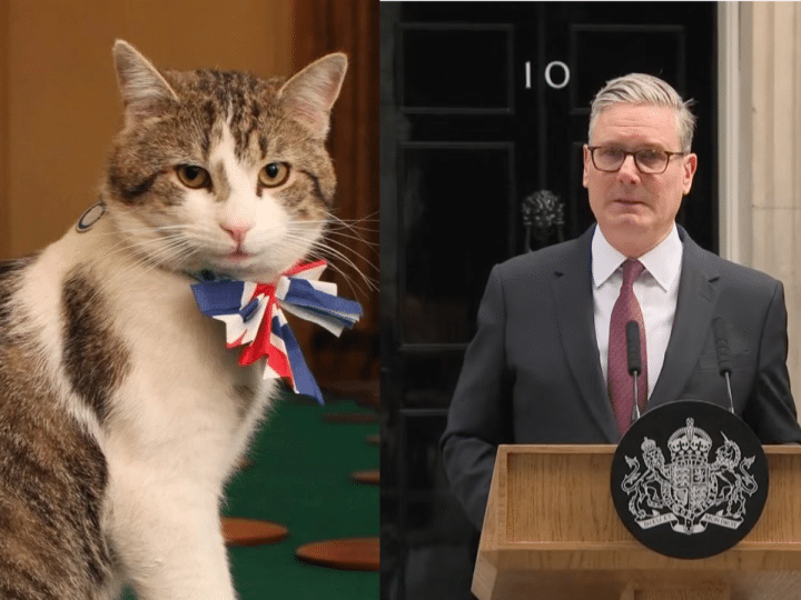 Read more about the article No. 10 cat is the UK’s most stable, sensible figure — charlatans come and go