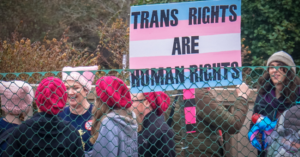 Read more about the article The Lemkin Institute’s demolition of the EHRC’s anti-trans code was systematic